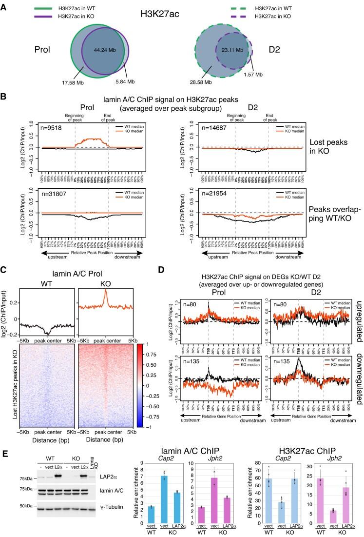 https://cdn.ncbi.nlm.nih.gov/pmc/blobs/3129/11514464/ce744002071c/gkae752fig6.jpg