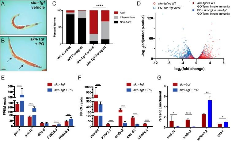 https://cdn.ncbi.nlm.nih.gov/pmc/blobs/3130/6825279/8b978bdb5cab/pnas.1909666116fig03.jpg
