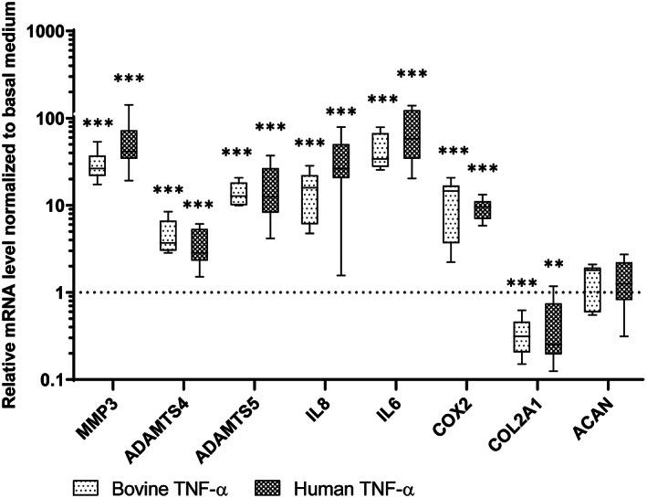 https://cdn.ncbi.nlm.nih.gov/pmc/blobs/3133/7524256/241629cb5f94/JSP2-3-e1104-g001.jpg