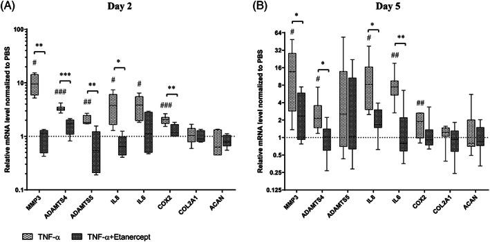 https://cdn.ncbi.nlm.nih.gov/pmc/blobs/3133/7524256/ab2eaeb5cabb/JSP2-3-e1104-g005.jpg