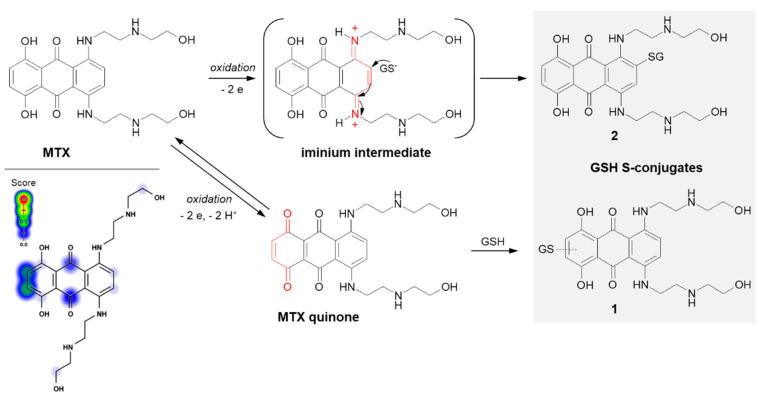 https://cdn.ncbi.nlm.nih.gov/pmc/blobs/3134/9412641/05f808774681/molecules-27-05252-g013.jpg