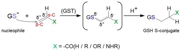 https://cdn.ncbi.nlm.nih.gov/pmc/blobs/3134/9412641/0aeffd9e9e08/molecules-27-05252-g012.jpg
