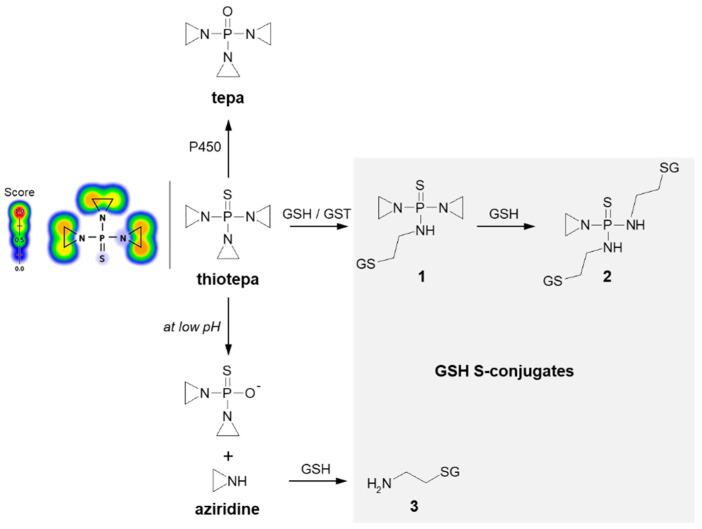 https://cdn.ncbi.nlm.nih.gov/pmc/blobs/3134/9412641/37e2dfb4660f/molecules-27-05252-g008.jpg