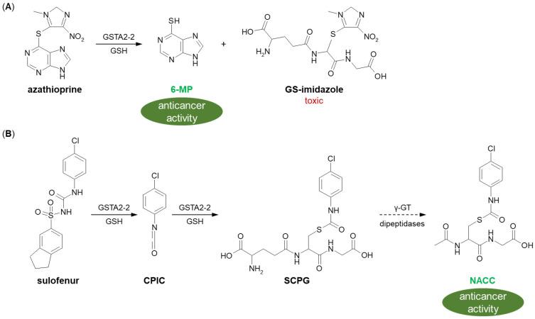 https://cdn.ncbi.nlm.nih.gov/pmc/blobs/3134/9412641/a09c458e6bf7/molecules-27-05252-g019.jpg