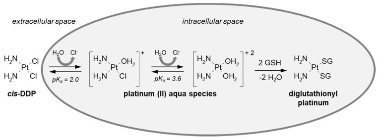 https://cdn.ncbi.nlm.nih.gov/pmc/blobs/3134/9412641/a5739ce16a51/molecules-27-05252-g009.jpg