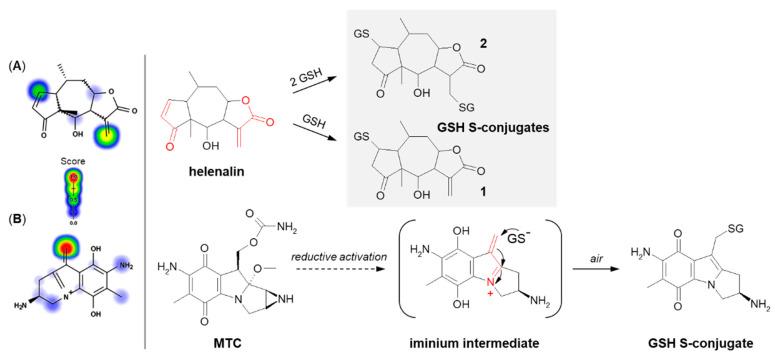 https://cdn.ncbi.nlm.nih.gov/pmc/blobs/3134/9412641/aa43105f78f5/molecules-27-05252-g015.jpg