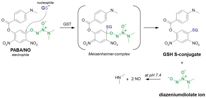 https://cdn.ncbi.nlm.nih.gov/pmc/blobs/3134/9412641/b5bdbec786b2/molecules-27-05252-g010.jpg