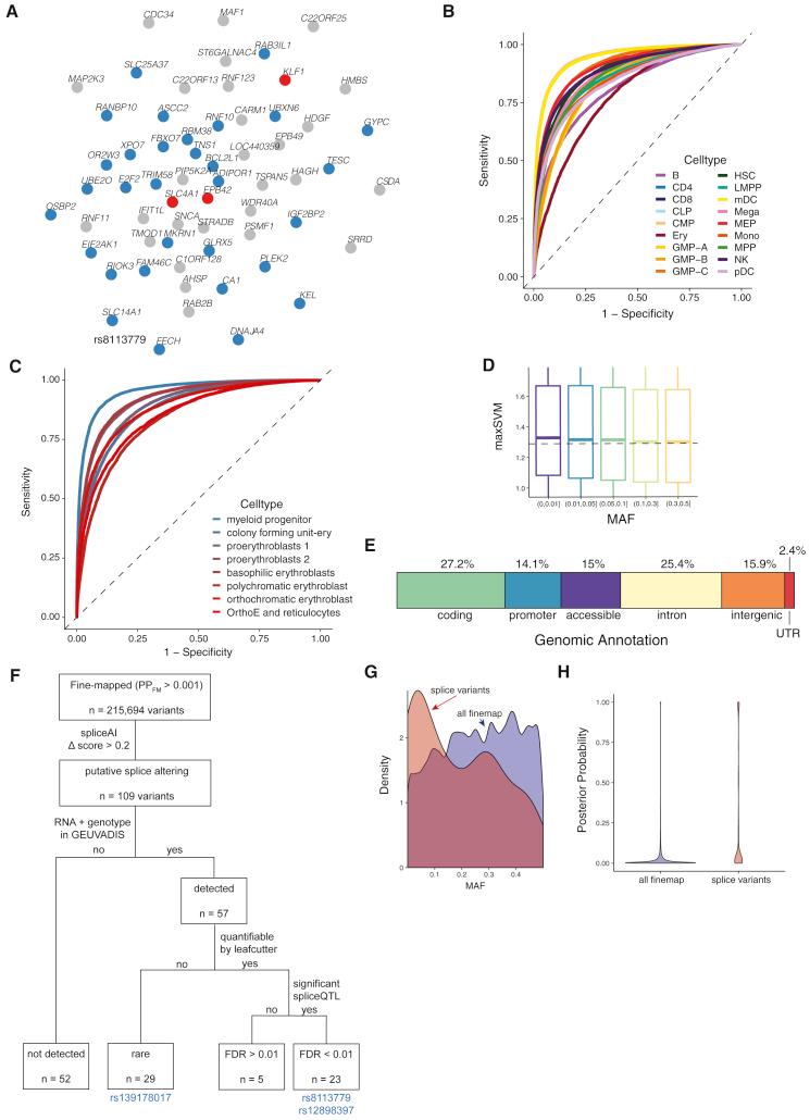 https://cdn.ncbi.nlm.nih.gov/pmc/blobs/314e/7482360/19c3879cd82f/figs3.jpg
