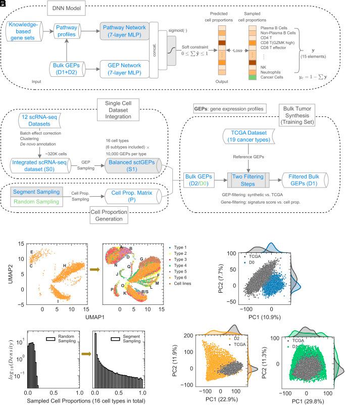 https://cdn.ncbi.nlm.nih.gov/pmc/blobs/3150/11573681/2f5d80b933e5/pnas.2407096121fig01.jpg