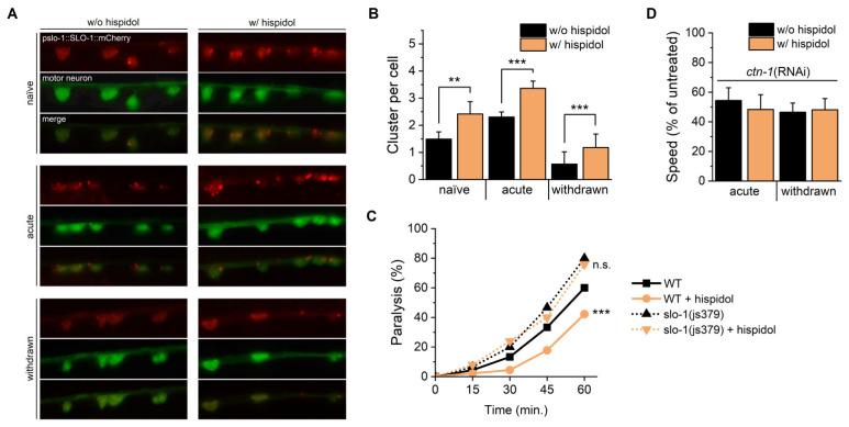 https://cdn.ncbi.nlm.nih.gov/pmc/blobs/3158/11478065/667d0f2de3ba/molecules-29-04531-g004.jpg