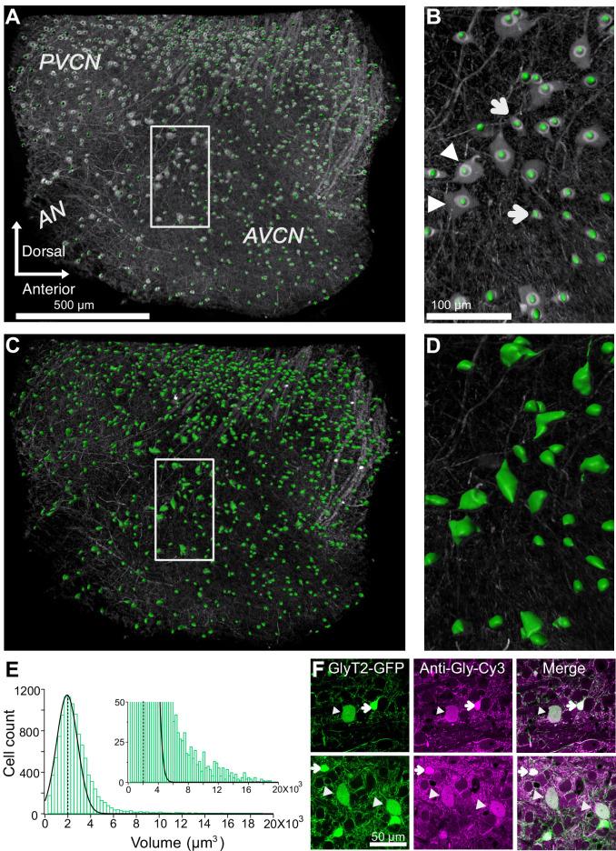 https://cdn.ncbi.nlm.nih.gov/pmc/blobs/3158/7744103/42e7543488cf/elife-54350-fig2.jpg