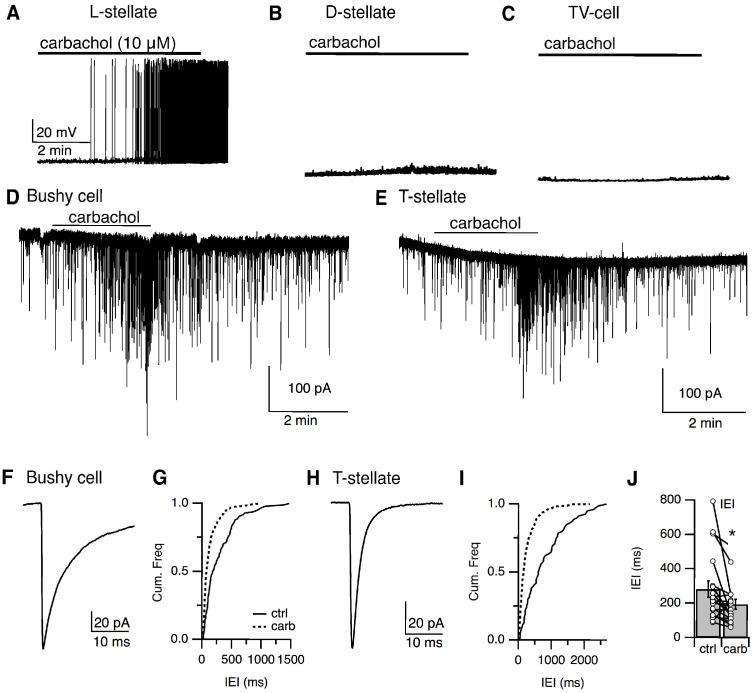 https://cdn.ncbi.nlm.nih.gov/pmc/blobs/3158/7744103/cc5cce35eb4b/elife-54350-fig10.jpg