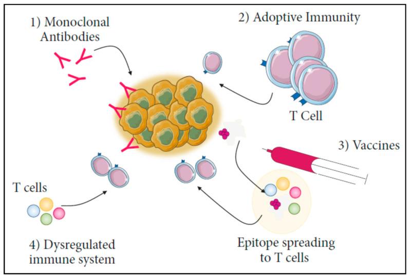 https://cdn.ncbi.nlm.nih.gov/pmc/blobs/3166/9968063/16b7cf8bb191/vaccines-11-00458-g002.jpg