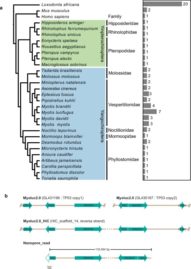 https://cdn.ncbi.nlm.nih.gov/pmc/blobs/3167/12049446/1e4269392c8d/41467_2025_59403_Fig7_HTML.jpg
