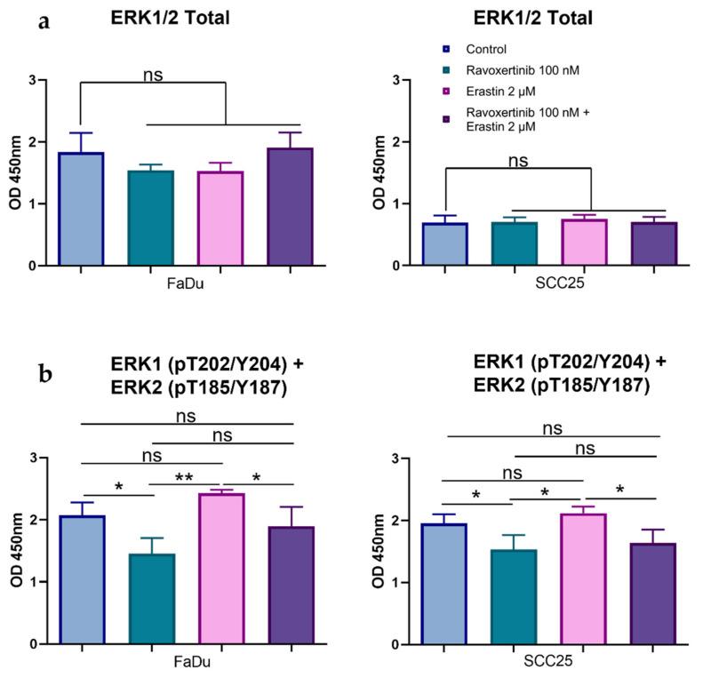 https://cdn.ncbi.nlm.nih.gov/pmc/blobs/316f/9856753/5190661820c1/cells-12-00336-g005.jpg