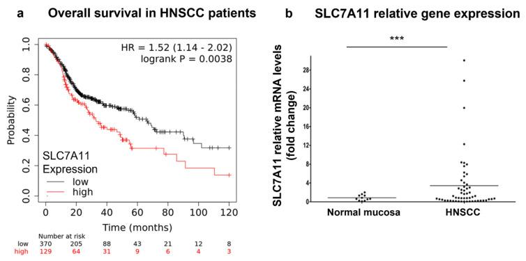 https://cdn.ncbi.nlm.nih.gov/pmc/blobs/316f/9856753/c0c698b6a02a/cells-12-00336-g001.jpg