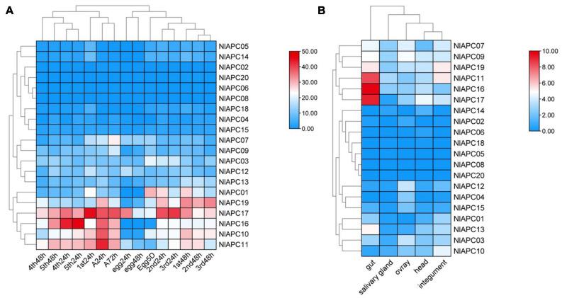 https://cdn.ncbi.nlm.nih.gov/pmc/blobs/317e/8316623/9bf5eb15eda6/fphys-12-708639-g005.jpg