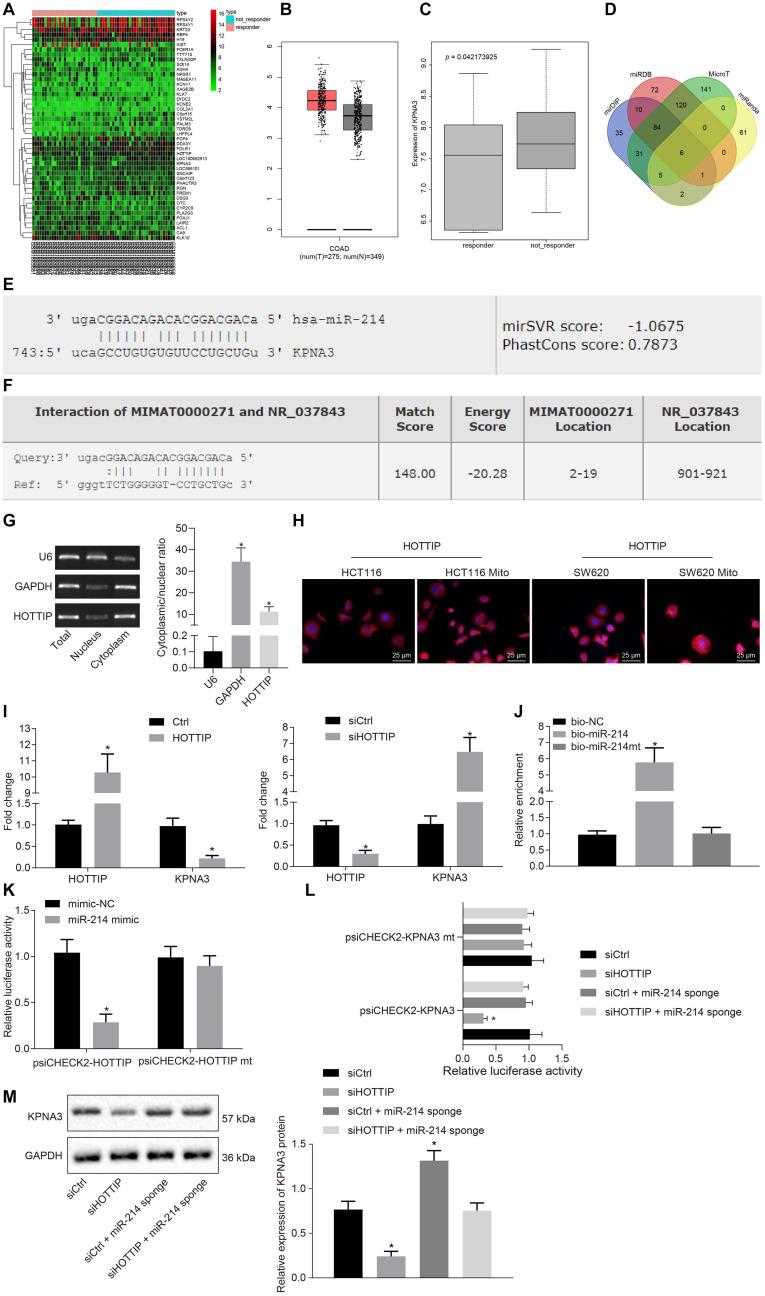 https://cdn.ncbi.nlm.nih.gov/pmc/blobs/318e/7876302/b2e2b382f79a/fcell-08-582723-g003.jpg