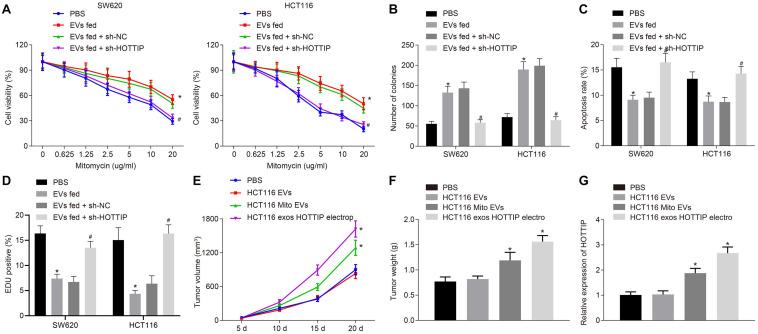 https://cdn.ncbi.nlm.nih.gov/pmc/blobs/318e/7876302/f075fdd2e282/fcell-08-582723-g006.jpg