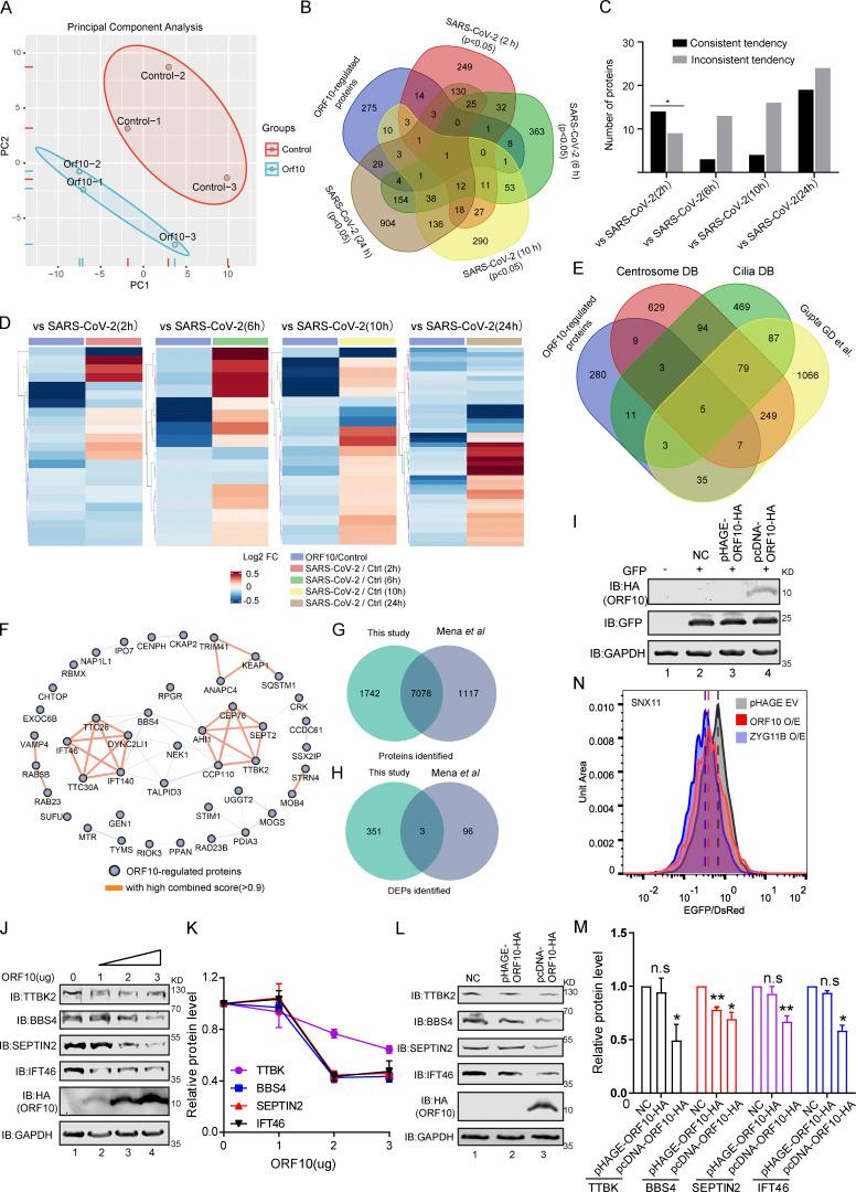 https://cdn.ncbi.nlm.nih.gov/pmc/blobs/3195/9184850/cdbc99f0bd63/JCB_202108015_FigS2.jpg