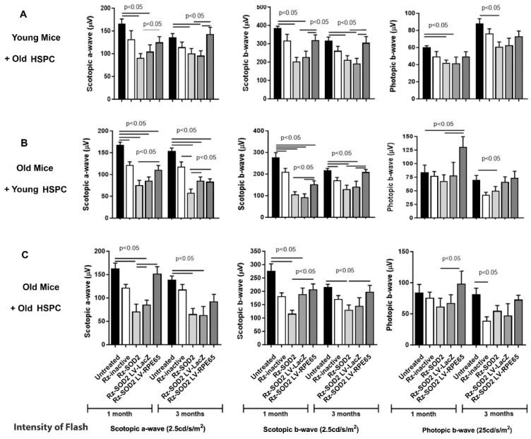 https://cdn.ncbi.nlm.nih.gov/pmc/blobs/3198/12427682/f29729a91953/cells-14-01360-g001.jpg