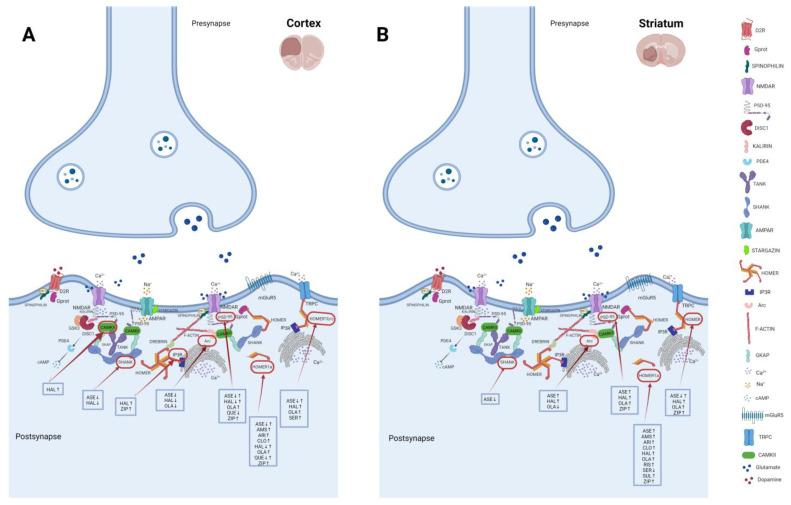 https://cdn.ncbi.nlm.nih.gov/pmc/blobs/31a1/10051989/428ccf26307f/ijms-24-05945-g004.jpg