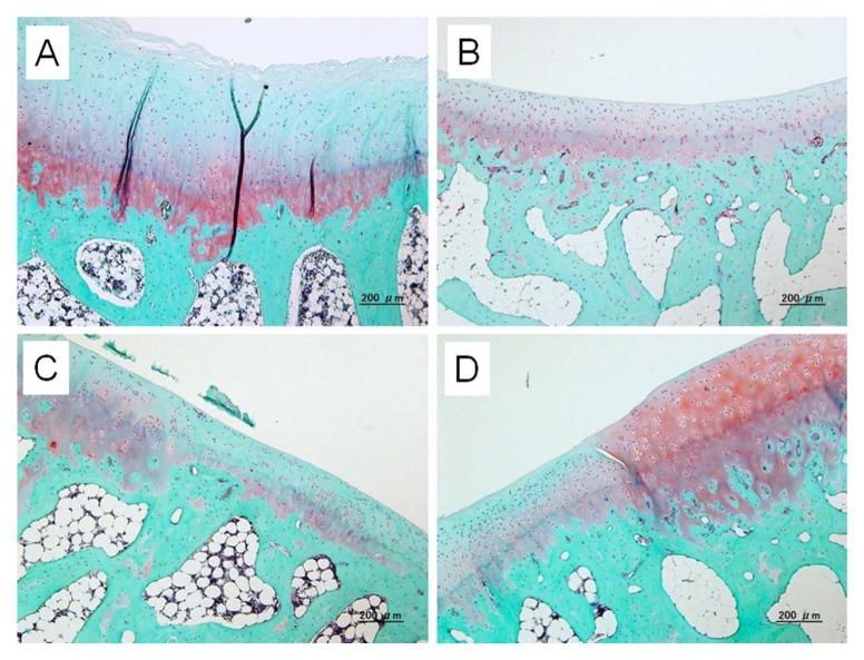 https://cdn.ncbi.nlm.nih.gov/pmc/blobs/31c8/4297161/e7ca1d1c7895/10.1177_1947603513494003-fig2.jpg