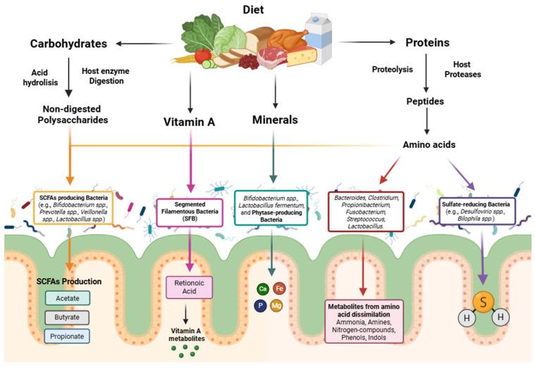 https://cdn.ncbi.nlm.nih.gov/pmc/blobs/31ca/12195293/d892b4de6e3d/metabolites-15-00372-g004.jpg