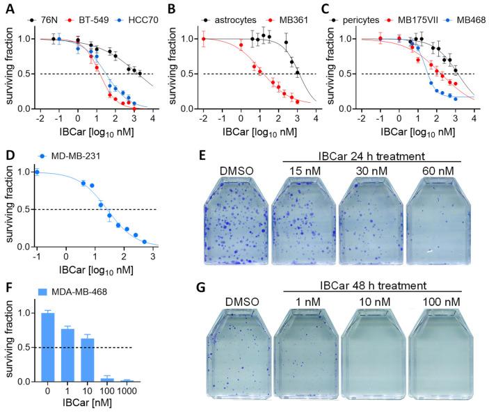 https://cdn.ncbi.nlm.nih.gov/pmc/blobs/31d4/12346495/0d6f5b8e2edb/cancers-17-02526-g002.jpg