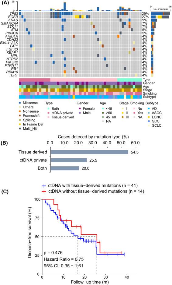 https://cdn.ncbi.nlm.nih.gov/pmc/blobs/31e2/10158775/150b5f99e6d3/MOL2-17-825-g001.jpg