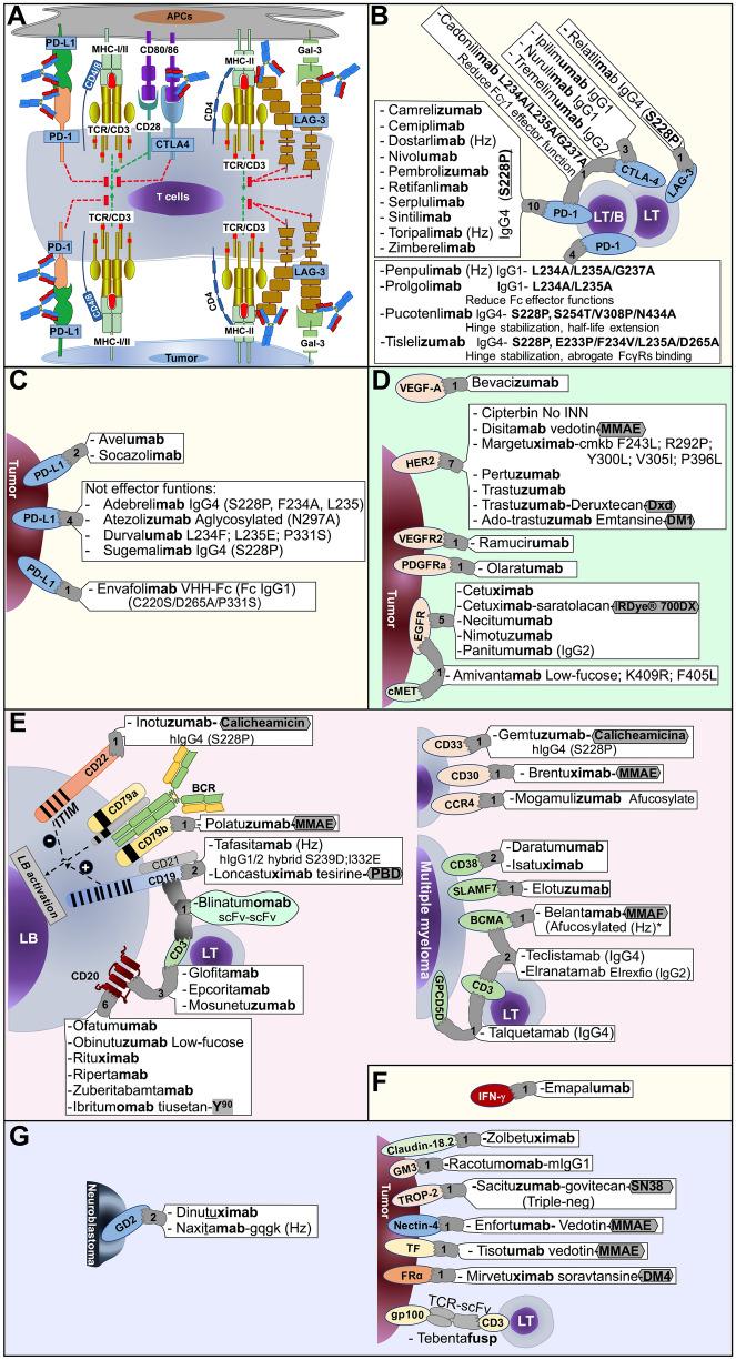 https://cdn.ncbi.nlm.nih.gov/pmc/blobs/31e9/11448508/7ef5f3885637/262_2024_3814_Fig2_HTML.jpg