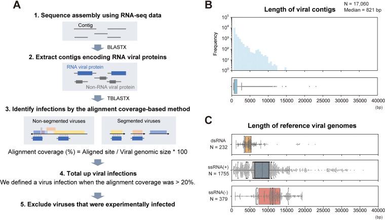https://cdn.ncbi.nlm.nih.gov/pmc/blobs/3211/8406186/fc0802252677/mbio.01638-21-f001.jpg