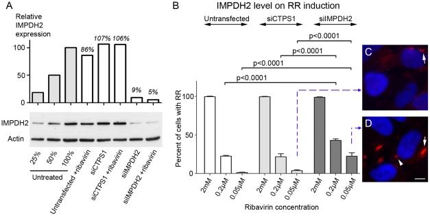 https://cdn.ncbi.nlm.nih.gov/pmc/blobs/321f/3248424/69d5fa2bb2c7/pone.0029690.g009.jpg