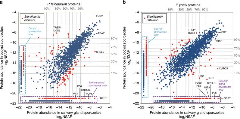 https://cdn.ncbi.nlm.nih.gov/pmc/blobs/3225/6823429/17fa169383ff/41467_2019_12936_Fig2_HTML.jpg