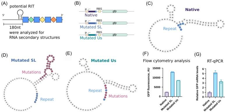 https://cdn.ncbi.nlm.nih.gov/pmc/blobs/3226/12080349/85b5136c4a7c/uqaf007fig3.jpg