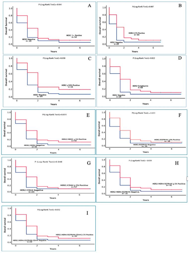 https://cdn.ncbi.nlm.nih.gov/pmc/blobs/322f/11987930/63f57cc9c8b9/cancers-17-01221-g002.jpg