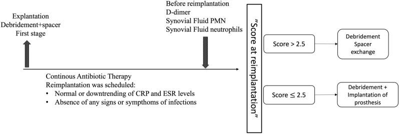 https://cdn.ncbi.nlm.nih.gov/pmc/blobs/3244/11102413/d527cc4ccfa8/10195_2024_767_Fig1_HTML.jpg