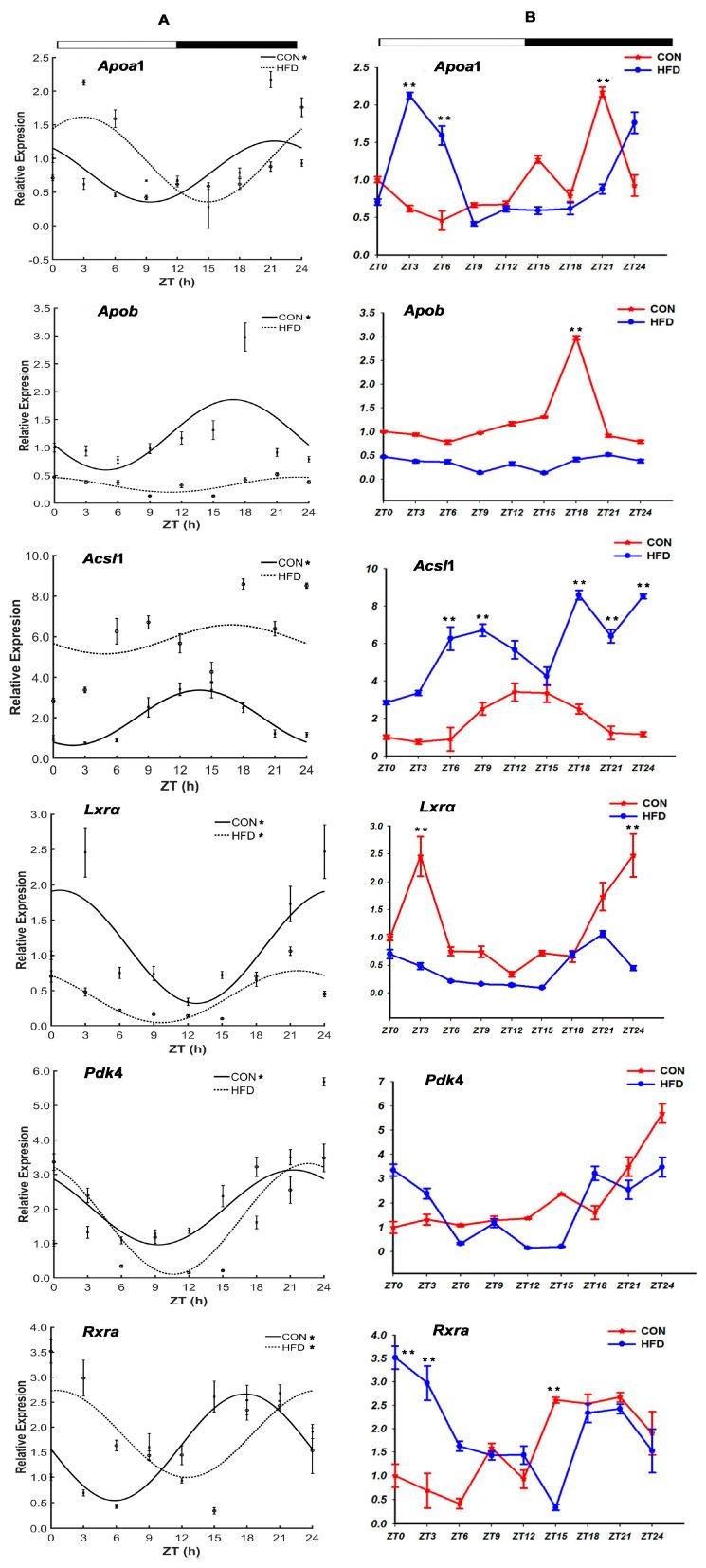 https://cdn.ncbi.nlm.nih.gov/pmc/blobs/326c/10888015/b49677ddadb3/genes-15-00157-g006.jpg