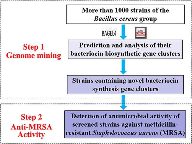 https://cdn.ncbi.nlm.nih.gov/pmc/blobs/329a/9602277/2dc270411310/spectrum.00945-22-f001.jpg