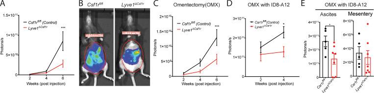 https://cdn.ncbi.nlm.nih.gov/pmc/blobs/32ab/8575007/b067d6880368/JEM_20210924_Fig7.jpg