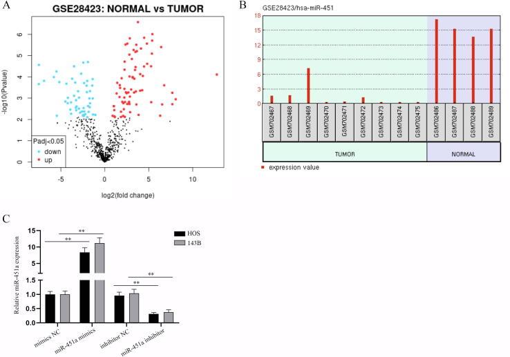 https://cdn.ncbi.nlm.nih.gov/pmc/blobs/32ab/8842083/aad32efe2522/fx1.jpg