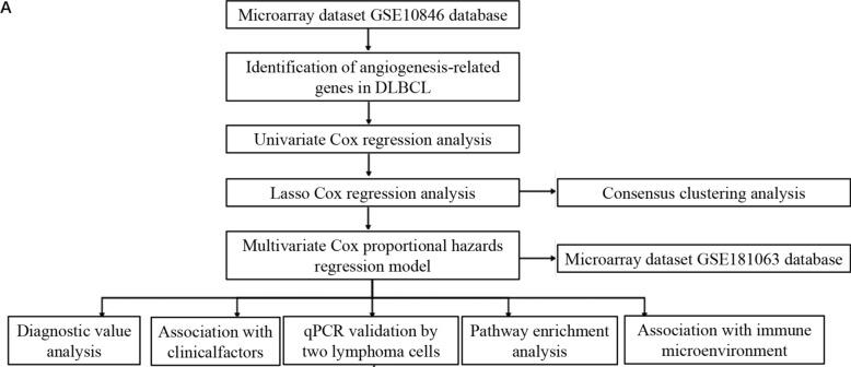 https://cdn.ncbi.nlm.nih.gov/pmc/blobs/32e8/11978719/1f81ef209805/10238_2025_1628_Fig1_HTML.jpg