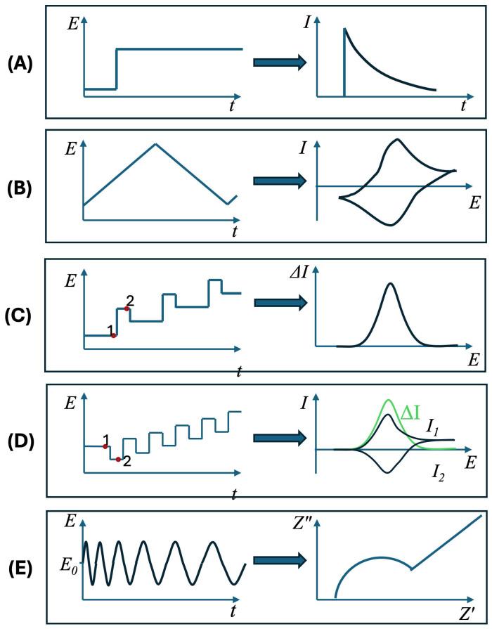 https://cdn.ncbi.nlm.nih.gov/pmc/blobs/32eb/11939962/33152cde2b3c/biosensors-15-00166-g005.jpg