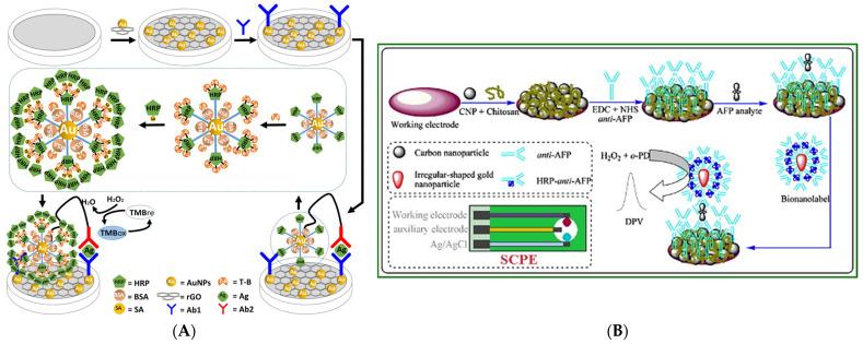 https://cdn.ncbi.nlm.nih.gov/pmc/blobs/32eb/11939962/4233a1082c4d/biosensors-15-00166-g006.jpg