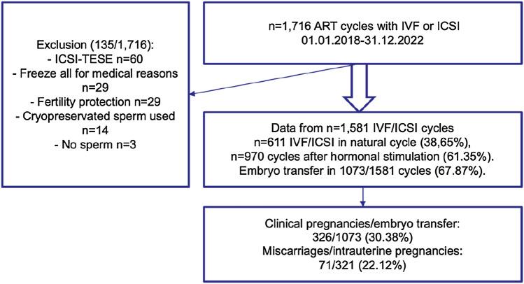 https://cdn.ncbi.nlm.nih.gov/pmc/blobs/32f5/10769908/6f3960fd6805/404_2023_7228_Fig2_HTML.jpg