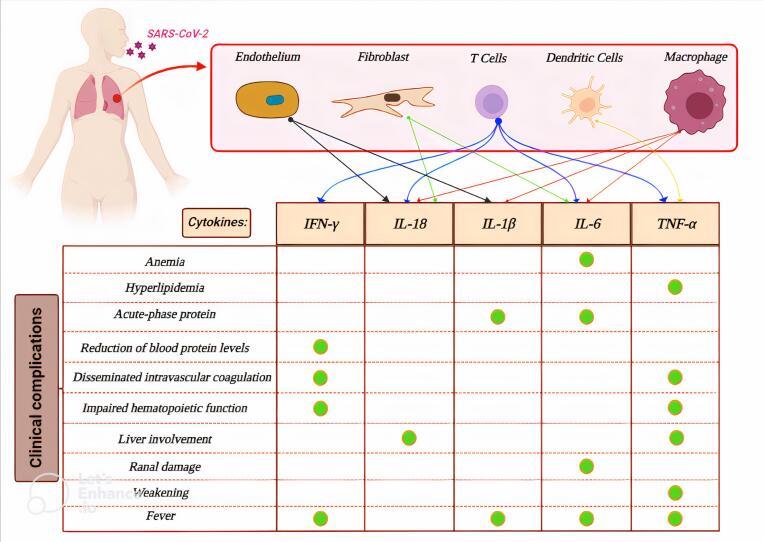 https://cdn.ncbi.nlm.nih.gov/pmc/blobs/32f6/11264831/57c8ad336cb4/mejdd-16-12-g002.jpg