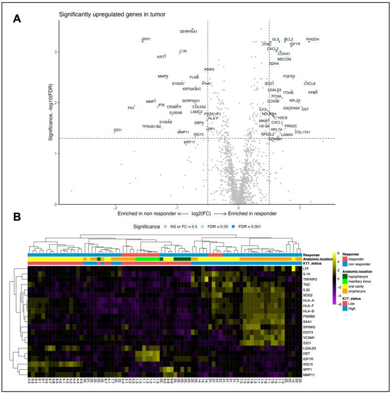 https://cdn.ncbi.nlm.nih.gov/pmc/blobs/32fb/10571921/beafdc65536c/cancers-15-04905-g005.jpg