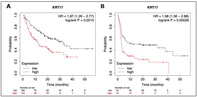 https://cdn.ncbi.nlm.nih.gov/pmc/blobs/32fb/10571921/f081508532db/cancers-15-04905-g006.jpg