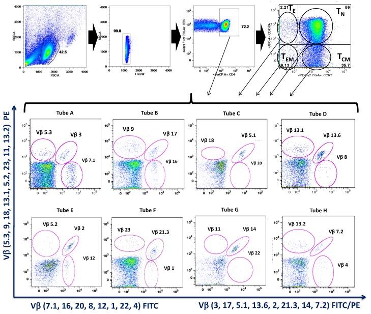 https://cdn.ncbi.nlm.nih.gov/pmc/blobs/330f/6721760/3b7db520834a/cells-08-00871-g001.jpg