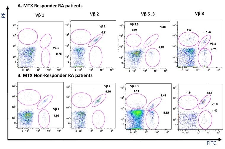 https://cdn.ncbi.nlm.nih.gov/pmc/blobs/330f/6721760/be96a4bc9273/cells-08-00871-g007.jpg